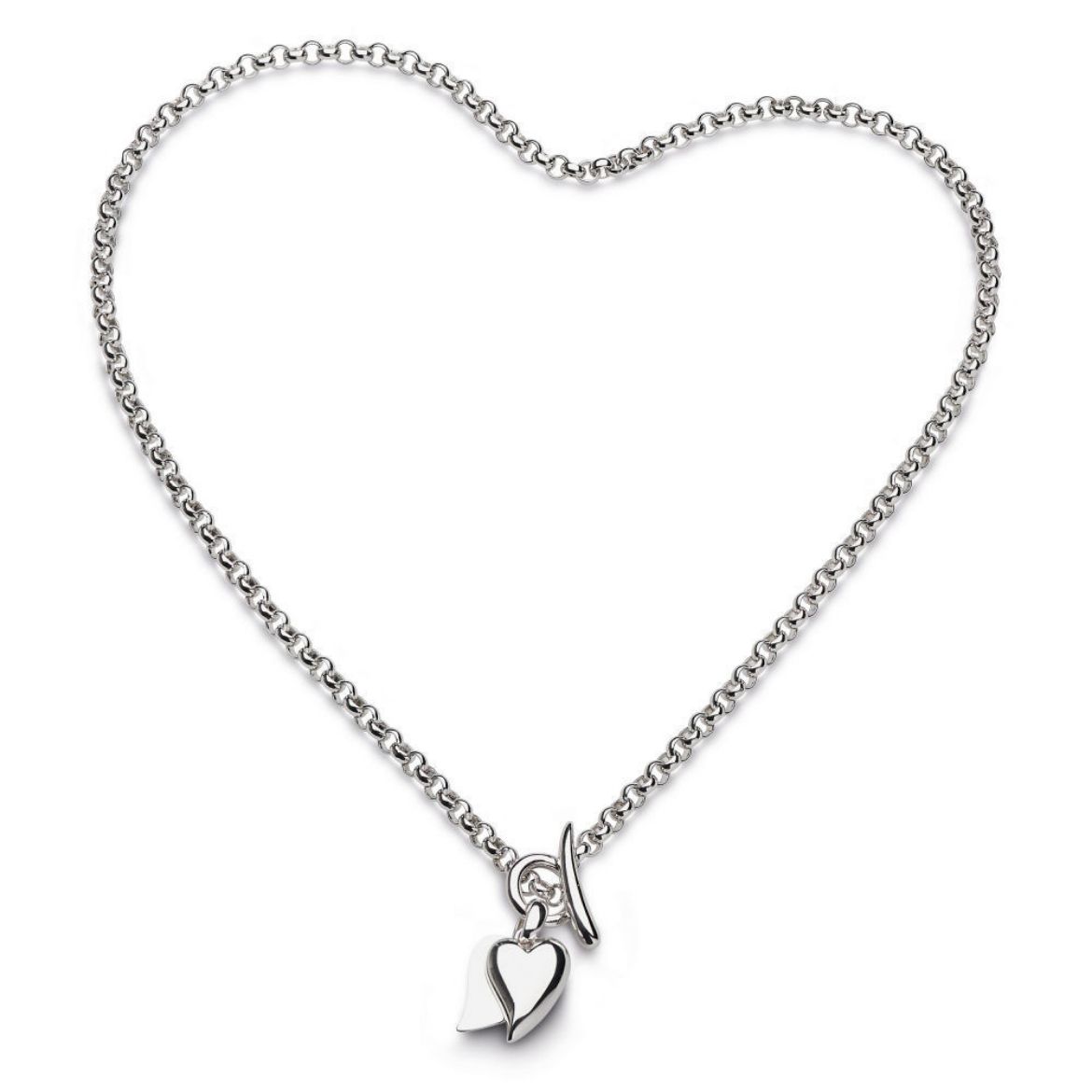Picture of Desire Love Duet Heart T-Bar Necklace