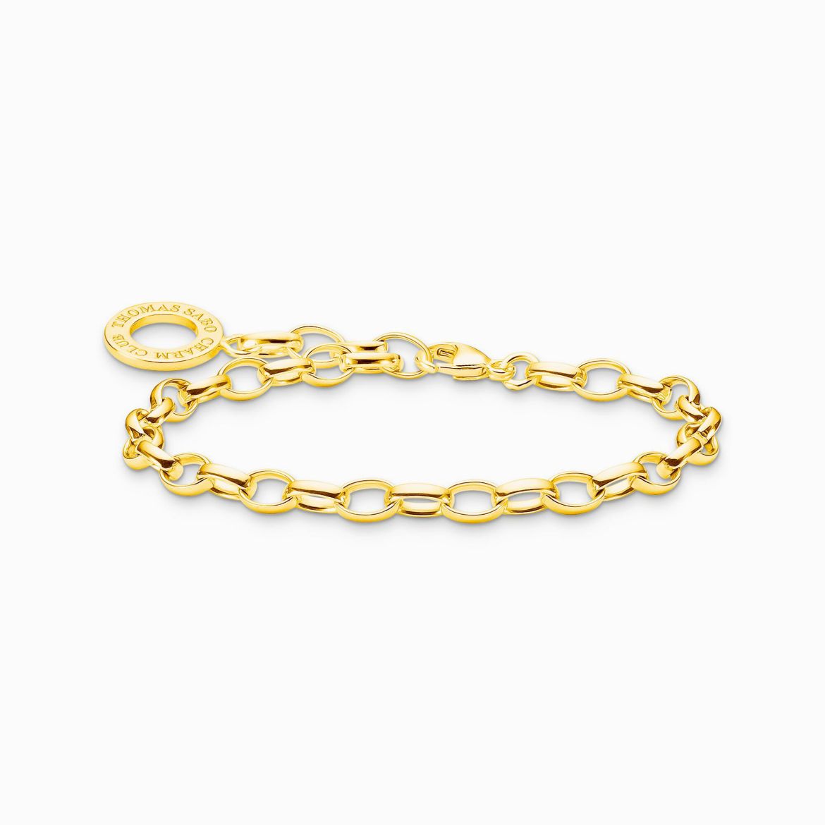 Picture of Classic Charm Bracelet in Gold