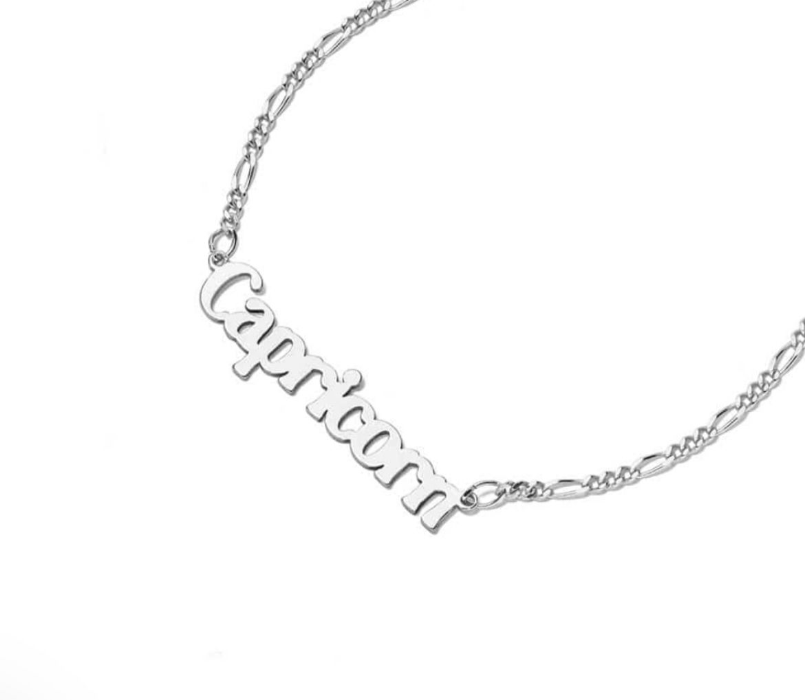 Picture of Zodiac Capricorn Necklace in Silver