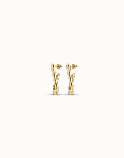 Picture of For U Earrings Gold 
