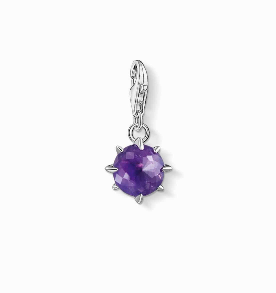 Picture of February Birthstone Charm