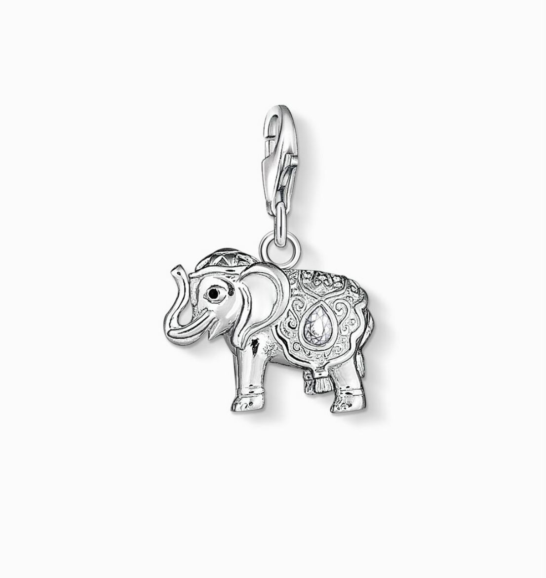 Picture of Indian Elephant Charm