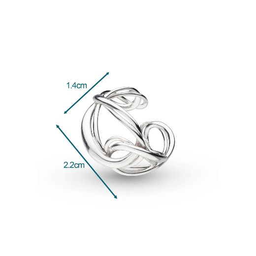 Picture of Infinity Ring