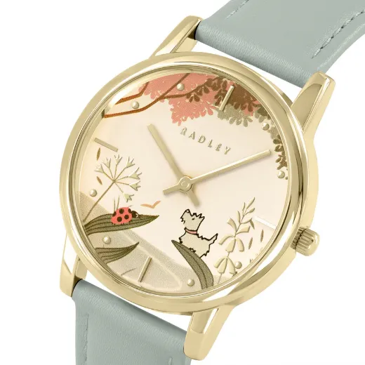 Picture of Ladybird Road Watch 