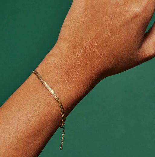 Picture of Flat Snake Chain Bracelet